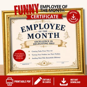 Delegating Shit Certificate, Funny Office Award, Printable Coworker Gift