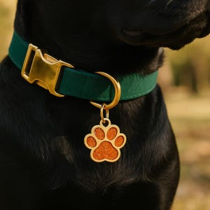 Op de afbeelding: Een hond draagt een groene halsband met een gouden gesp en een gouden pootvormige tag. De tag heeft een oranje getextureerde vulling. De vacht van de hond is zwart.