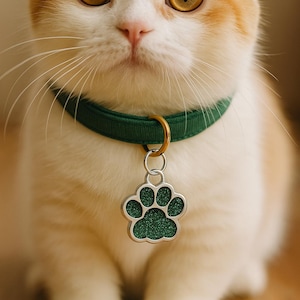 May include: A ginger and white cat wearing a green collar with a paw-shaped tag. The tag features a green glitter paw print. The cat has large, round yellow eyes and is looking at the camera.