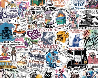 Paquete de 200 pegatinas holográficas de vinilo divertidas, calcomanías de memes impermeables para laptop, botella de agua, teléfono, diario, juego de pegatinas estéticas sin repeticiones.