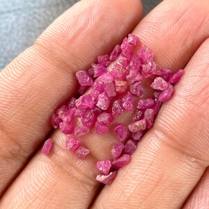 Può includere: Una manciata di piccole pietre preziose di rubino grezzo. I rubini sono di un vibrante colore rosso-rosato e sembrano essere pietre naturali grezze. Le pietre preziose sono tenute in una mano aperta, mostrando le loro forme e trame irregolari.
