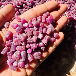 Pode incluir: Uma mão segurando uma coleção de pedras preciosas de rubi brutas e não lapidadas. As pedras preciosas são de uma cor vermelho-rosada profunda, com uma textura áspera e irregular. As gemas estão espalhadas pela palma da mão, com mais ao fundo.