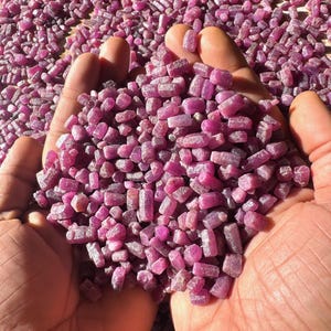 Puede incluir: Primer plano de un puñado de gemas de rubí en bruto. Las gemas son de un color rojo rosado intenso y tienen una superficie rugosa y texturizada. Las pequeñas gemas rectangulares parecen recién extraídas.