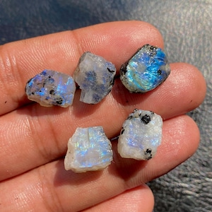 May include: Five raw moonstone crystals, displaying a mix of white, blue, and black hues. The stones have a rough, natural texture and are shown on a hand.