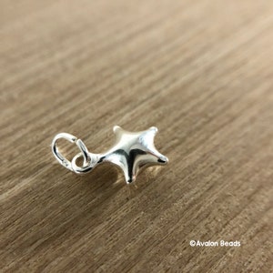 May include: A silver charm in the shape of a star with a loop for attaching to a bracelet or necklace.