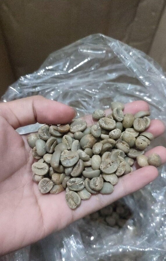 Wild Luwak Coffee (luwak Liar Indonesia) - Etsy