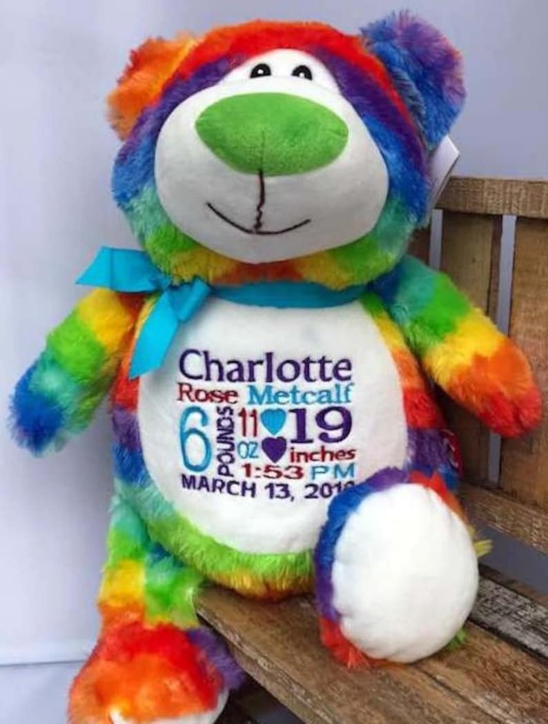 rainbow baby teddy