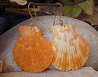 オレンジの貝殻イヤリング、夏のボヘミアンビーチジュエリー - Etsy 日本