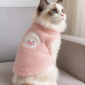 Puede incluir: Un chaleco rosa para gato con un diseño de seta en la espalda. El chaleco lo lleva un gato Ragdoll con ojos azules y marcas marrones. El gato está sentado en un sofá gris.