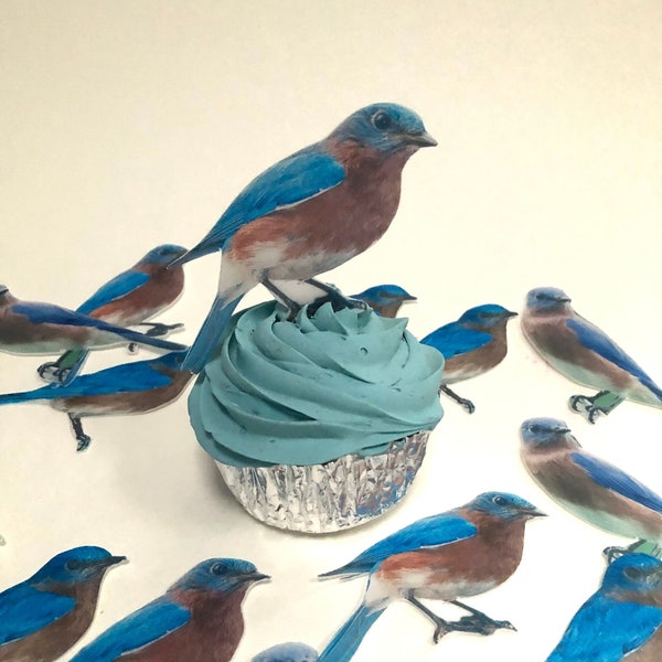 12 bluebird photos cupcake toppers, printed on edible wafer card. Perfect for woodland-themed birthdays or cake decorations.