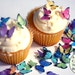 see more listings in the edible butterflies section