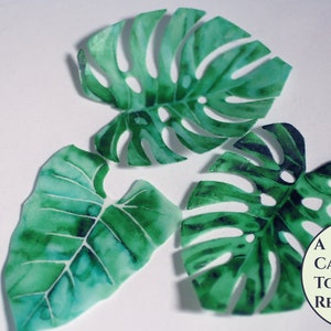 12 tropical leaves edible cupcake toppers, 2 wide. Luau wafer paper Monstera leaves for summer parties or wild one birthday/baby shower immagine 3