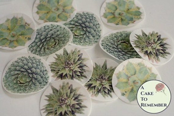 12 assorted tropical plants wafer paper succulent cupcake toppers. 2" wide edible rice paper photos succulent images for cookie decorating Il_570xn
