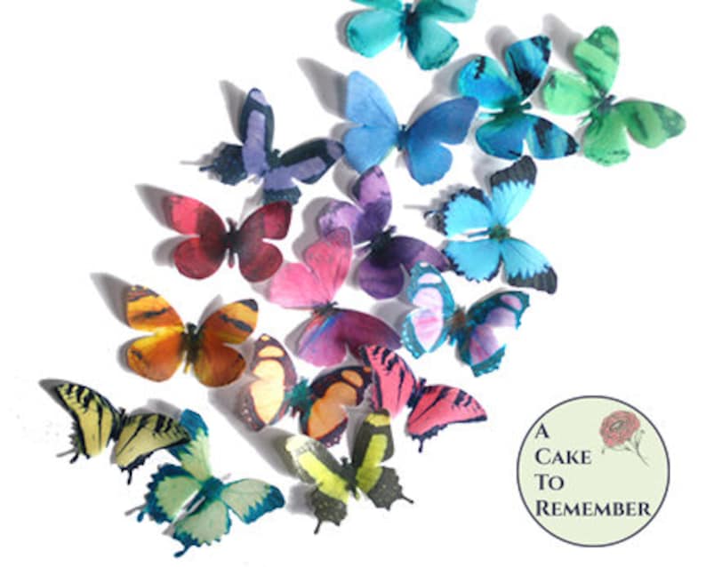 16 cake butterflies 2 wide wafer paper rainbow color butterflies set for wedding or birthday cakes edible butterfly cupcake toppers