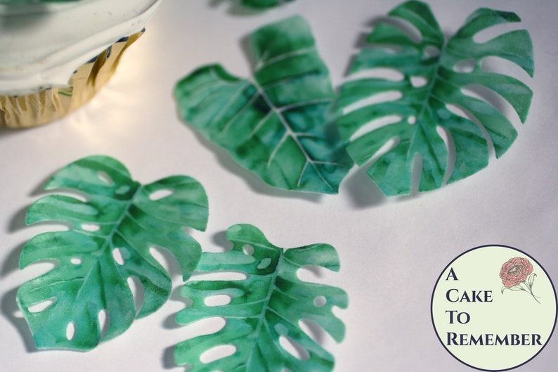 12 tropical leaves edible cupcake toppers, 2 wide. Luau wafer paper Monstera leaves for summer parties or wild one birthday/baby shower Bild 5