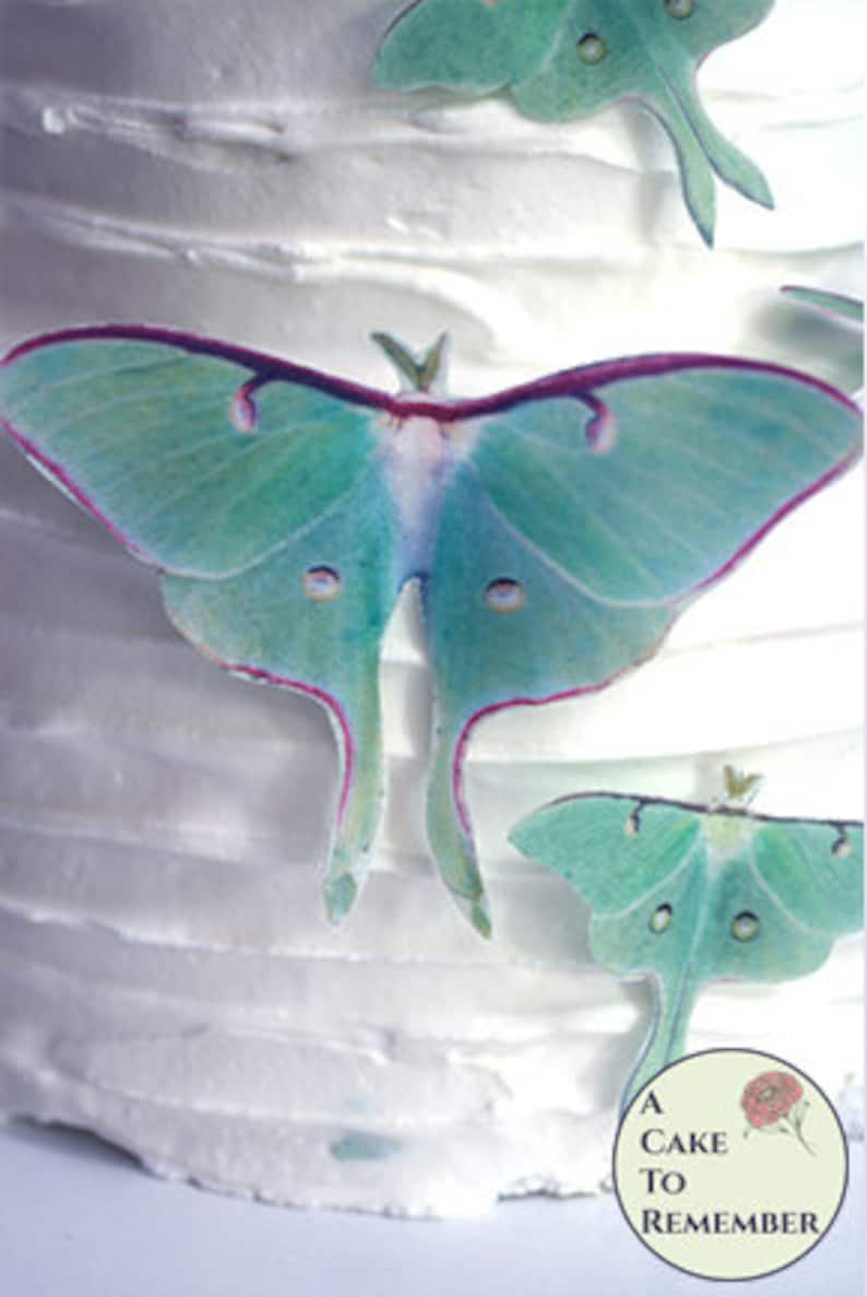 9 Edible Luna Moth Cake Decorations for a Woodland Wedding Etsy