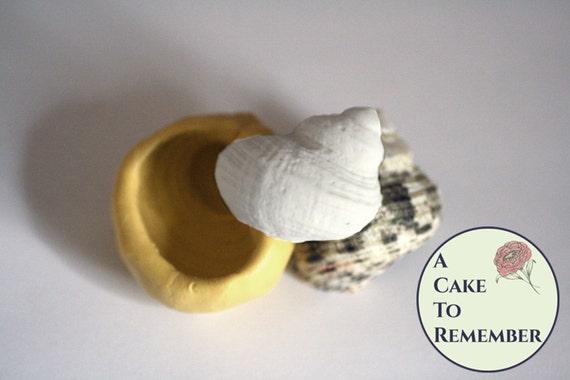 Silicone 1.5" sea snail shell mold for cake decorating. Polymer clay or resin shell mold, gumpaste or fondant shell mold. M5149 Il_570xn