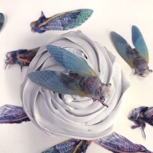 14 edible cicada cake decorations for a woodland wedding cake or forest wedding cake. Edible printed insects for rustic cake toppers