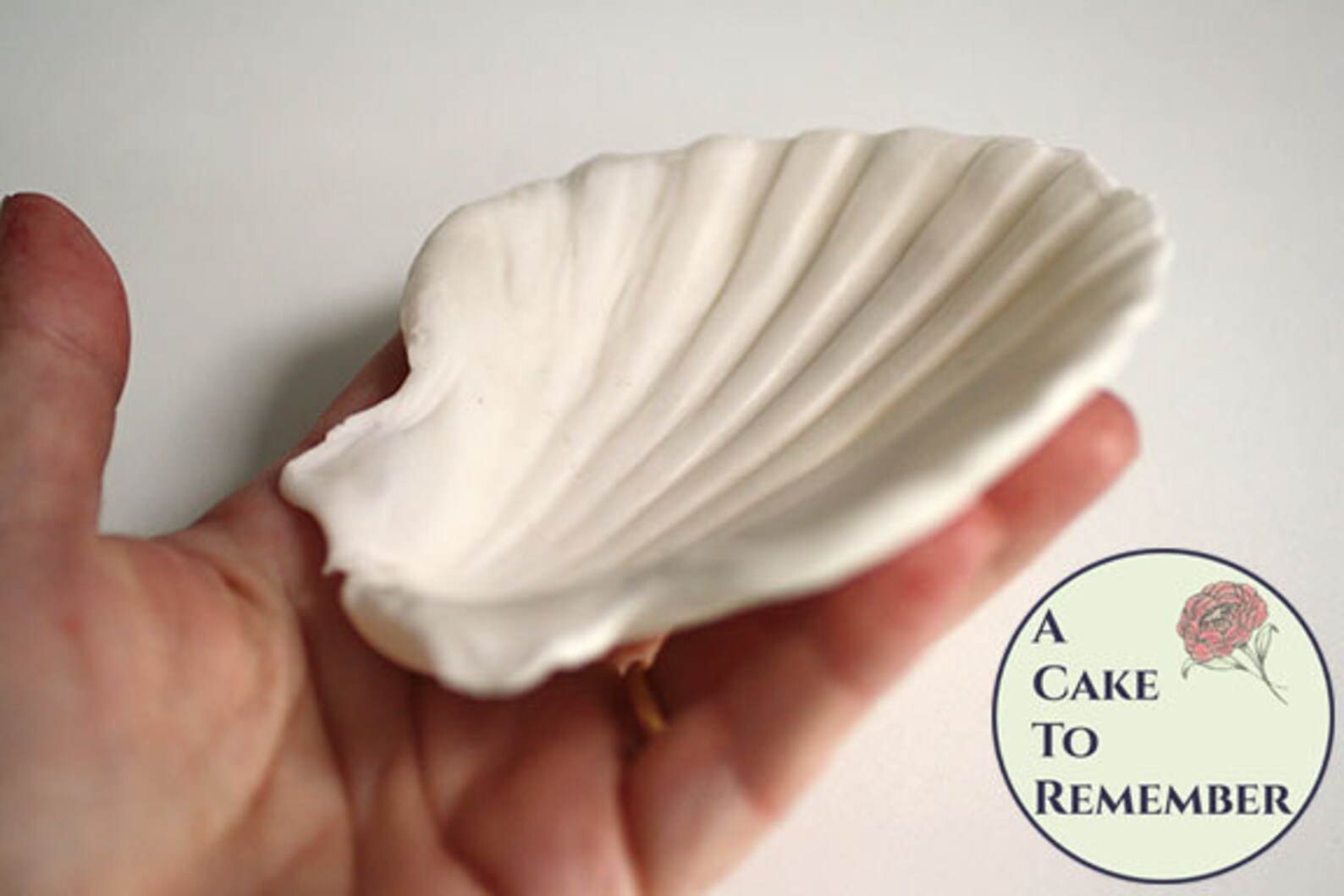 4 3D Clam Shell Silicone Mold for Cake Decorating or Etsy