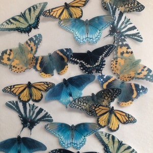 18 realistic edible detailed butterflies of Virginia. Wafer paper cupcake toppers 2.5” across, edible cute cake decorations.