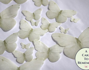 16 pale pastel yellow edible butterflies, wafer paper edible butterfly party decoration for cakes and cupcakes. Garden wedding cake topper