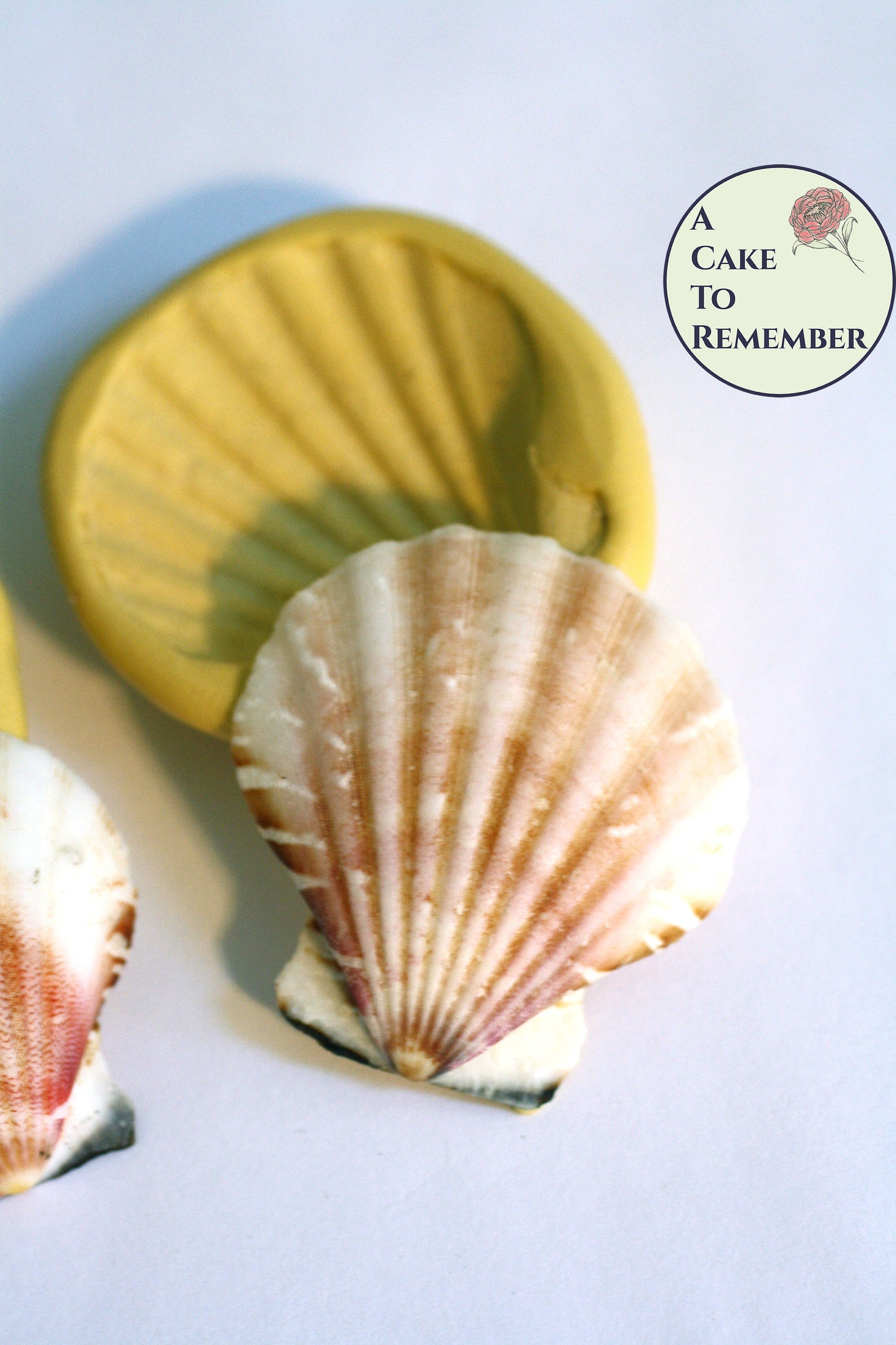 Clam Shell Silicone Mold Set of 2 Small Sizes for Fondant or Etsy