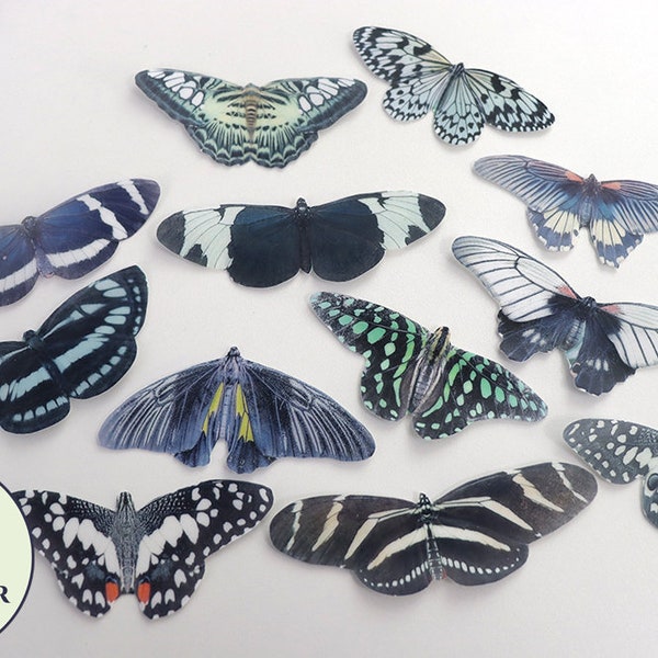 Ships fast   12 edible black detailed butterflies and moths wafer paper cupcake toppers 3" across, edible creepy cute cake decorations.