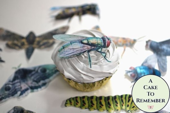 Bug cupcake toppers made from edible wafer paper. Insect theme party decorations for boy birthday party or creepy Halloween cake decorating Il_570xn