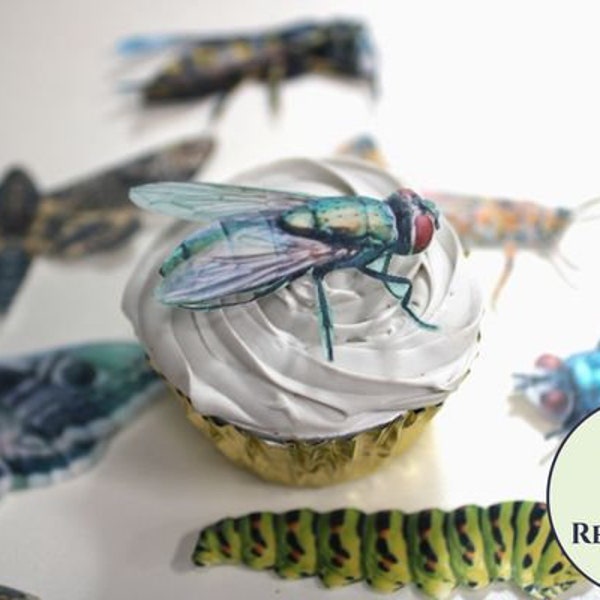 Ships fast Bug cupcake toppers made from edible wafer paper. Insect theme party decoration for bug birthday party or creepy Halloween