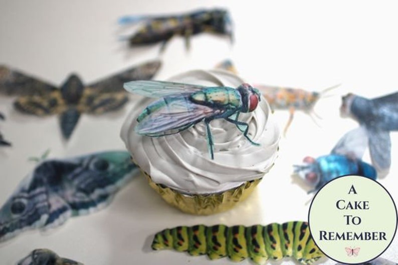 Ships fast Bug cupcake toppers made from edible wafer paper. Insect theme party decoration for bug birthday party or creepy Halloween image 1