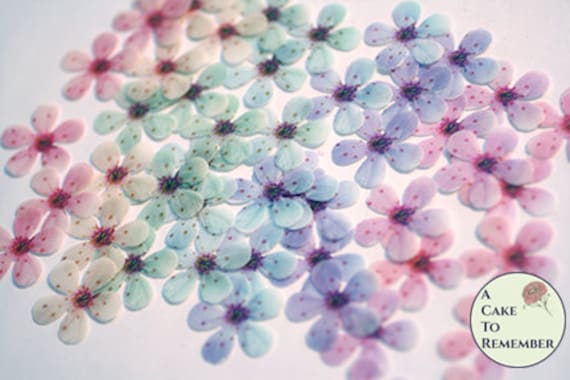 48 wafer paper pastel rainbow lilac blossoms, 1" across. Edible flowers for wedding cakes, cupcake toppers, cake decorating, and cake pops Il_570xn