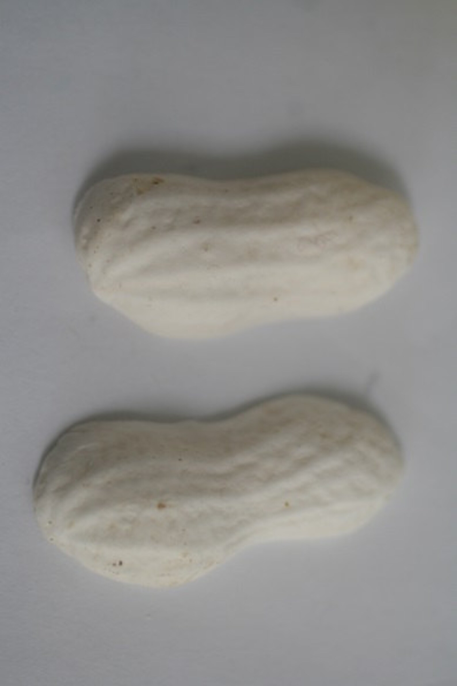 Fake food peanut mold 1 1/2 long fake food mold Etsy