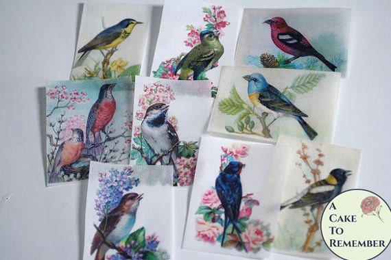 12 vintage bird edible pictures for cookies and cookie decorating. Bird wafer paper images, edible photos for cookies, mothers day cakes. Il_570xn