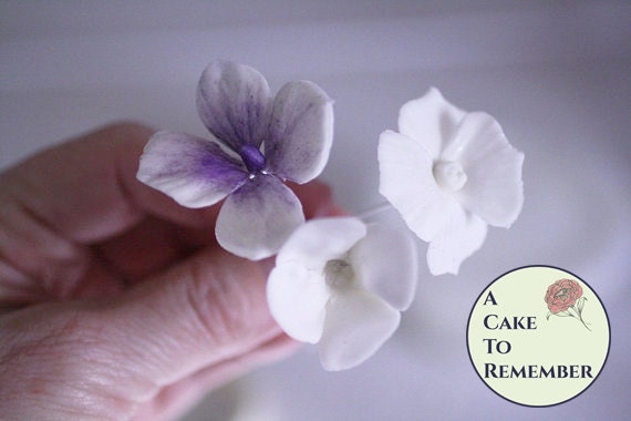 Gumpaste Hydrangeas Four Ways Digital Tutorial For Cake