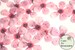 48 wafer paper cherry blossom flowers, 1' across. Edible flowers for wedding cakes, cupcake toppers, and cake pops. Cake decorating ideas 