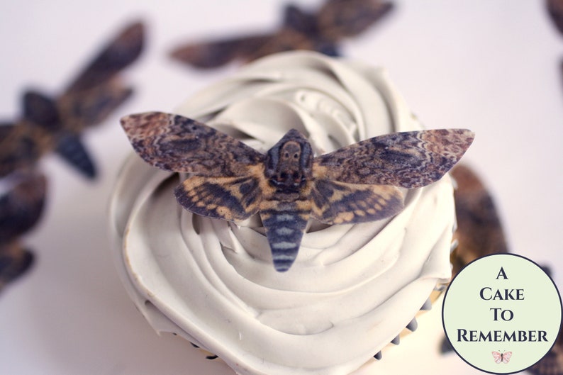 Ships fast- 12 edible death head moth wafer paper cupcake toppers for Halloween parties. 2.5' across, edible creepy cute cake decorations. 