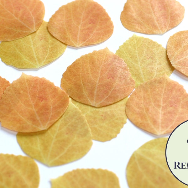 15 edible aspen leaves, fall wedding cake topper, color on both sides 2" wide wafer paper. Autumn leaf fall wedding cupcake toppers.