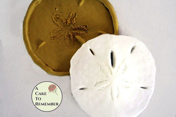 Large silicone sand dollar mold for cake decorating, gumpaste shell mold, fondant mold, polymer clay mold, silicone mould, sand dollar M1031 Il_570xn