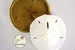 Large silicone sand dollar mold for cake decorating, gumpaste shell mold, fondant mold, polymer clay mold, silicone mould, sand dollar M1031 