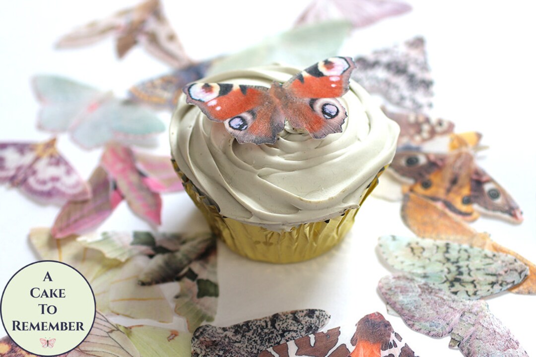 Best Edible Halloween Cake Decorations 2024 AtOnce