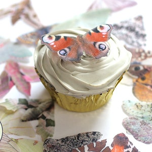 Luna moth cake 👌  Bug birthday cakes, Luna moth, Butterfly cakes