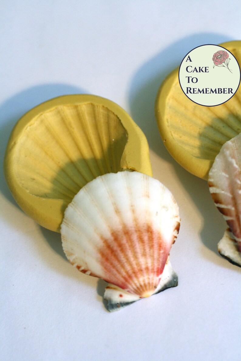 Clam Shell Silicone Mold Set of 2 Small Sizes for Fondant or Etsy