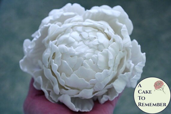 Gumpaste Flowers Tutorials Bundle For Cake Decorating All