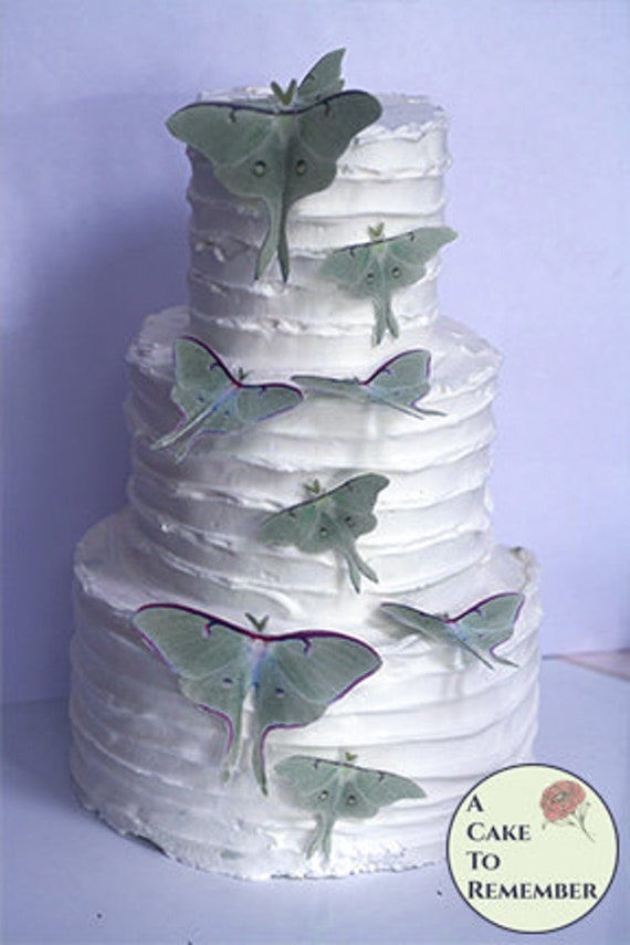9 Edible Luna Moth Cake Decorations for a Woodland Wedding Etsy