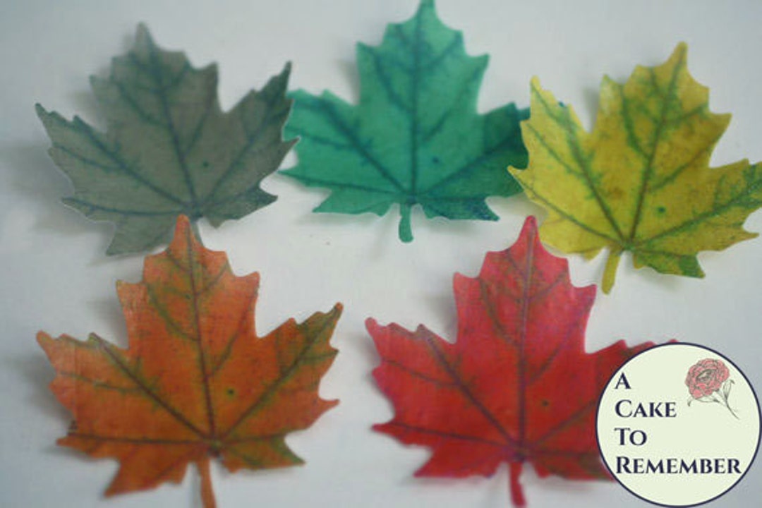 12 Wafer Paper Maple Leaves Edible Leaves for Autumn Baking Etsy