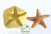 Silicone 3' starfish Mold for cake decorating, polymer clay shell mold, soap seashell mold, fondant starfish mold M1034 