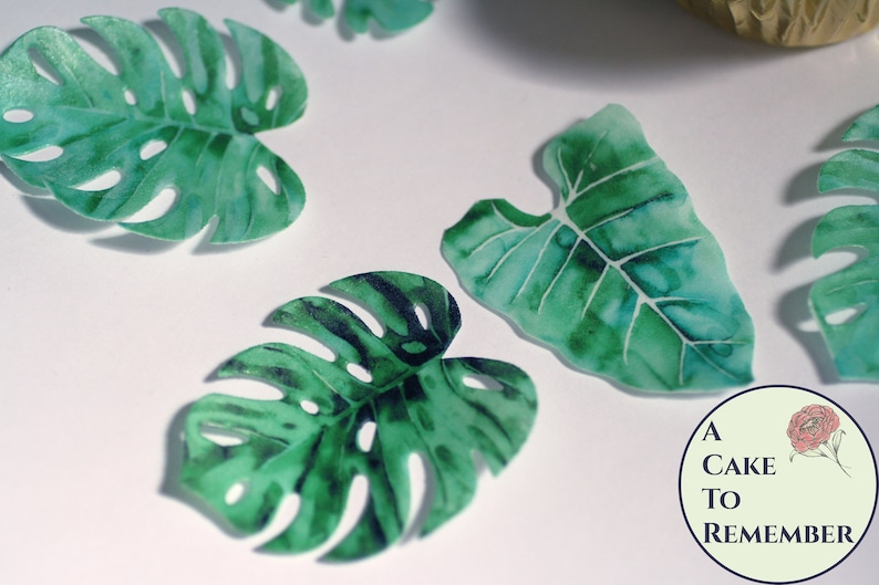 12 tropical leaves edible cupcake toppers, 2 wide. Luau wafer paper Monstera leaves for summer parties or wild one birthday/baby shower image 6