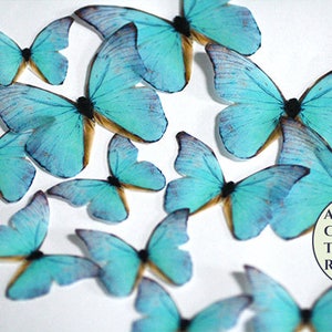 Ships fast   Teal edible butterflies, 12 wafer paper butterflies set for wedding cake toppers. Butterflies for . and cupcake decorating.