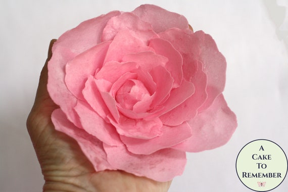 Large Pink Wafer Paper Edible Flower 4 4 5 For Wedding Cake Toppers Or Girl Baby Shower Cakes Rice Paper Peony Ready To Ship By A Cake To Remember Llc Catch My