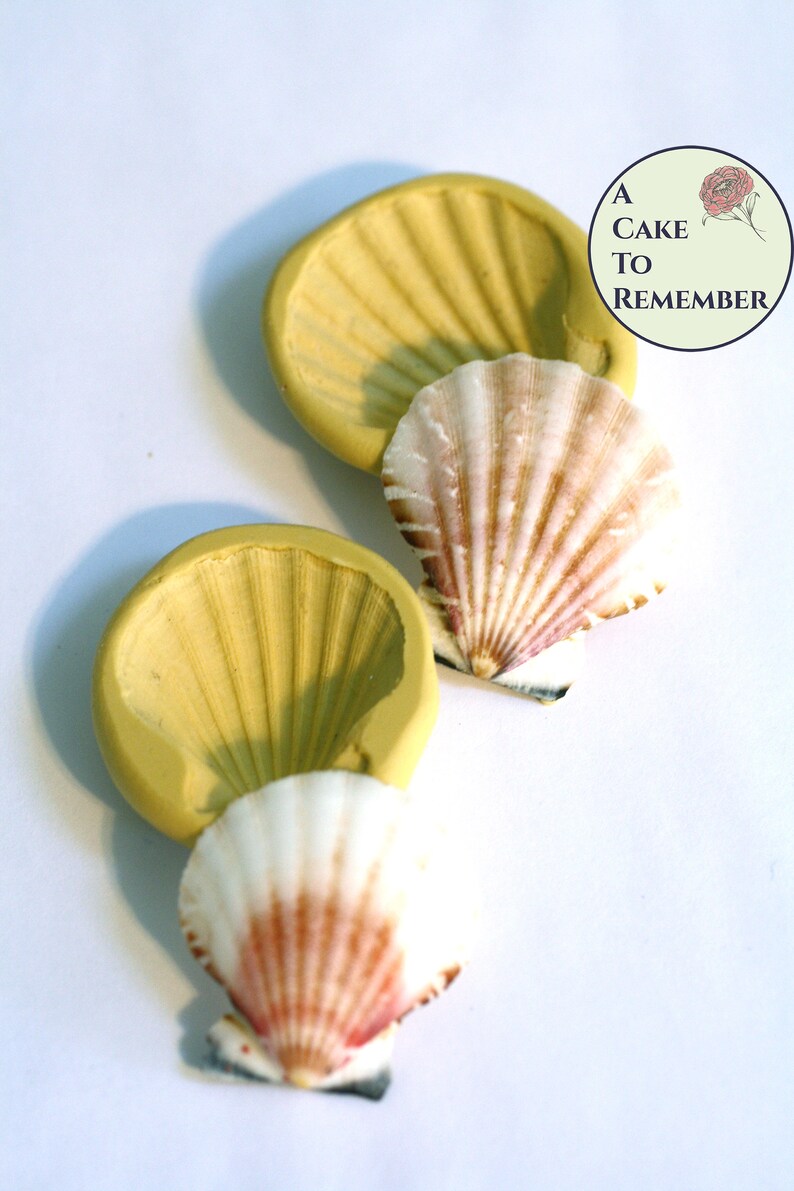 Clam Shell Silicone Mold Set of 2 Small Sizes for Fondant or Etsy Canada